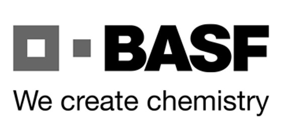 GRUPO BASF